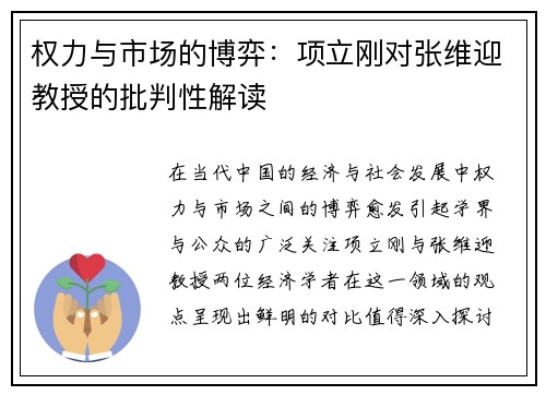 权力与市场的博弈：项立刚对张维迎教授的批判性解读