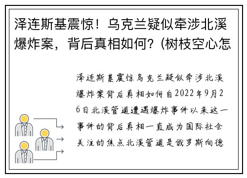 泽连斯基震惊！乌克兰疑似牵涉北溪爆炸案，背后真相如何？(树枝空心怎么办)